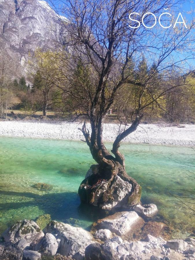 Apartma Kukc Bovec Διαμέρισμα Kal-Koritnica Εξωτερικό φωτογραφία